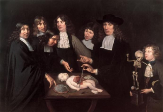 Guild of Surgeons Like other trade guilds in Amsterdam in the 17th century, the Surgeons Guild commissioned paintings of its members and activities, such as The Osteology Lesson of Dr Sebastiaen Egbertsz, 1619, by Nicolaes Eliaszoon Pickenoy (top). Later in the 17th century, the leading anatomist was Frederik Ruysch, seen here in Anatomy Lesson of Dr Frederik Ruysch, 1683, by Jan van Neck. Ruysch was famous for developing revolutionary techniques for preserving the human body and for memento mori artworks using human foetal skeletons. © Amsterdam Museum, Amsterdam